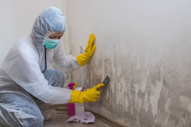 Best Post-Construction Mold Inspection  in Moultrie, GA