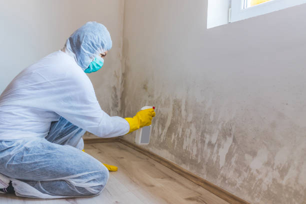 Best Airborne Mold Testing  in Moultrie, GA