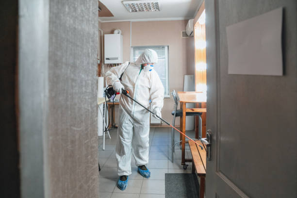 Best Indoor Air Quality Assessment  in Moultrie, GA