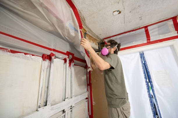 Mold Remediation for Vacation Homes in Moultrie, GA