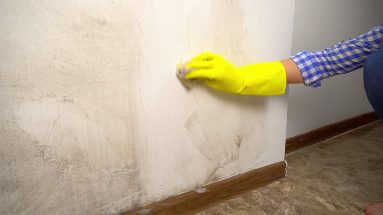 Best Residential Mold Inspection & Testing  in Moultrie, GA