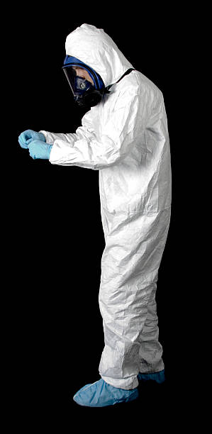 Reliable Moultrie, GA Mold Removal Solutions