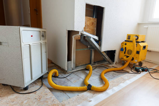 Best Black Mold Removal  in Moultrie, GA