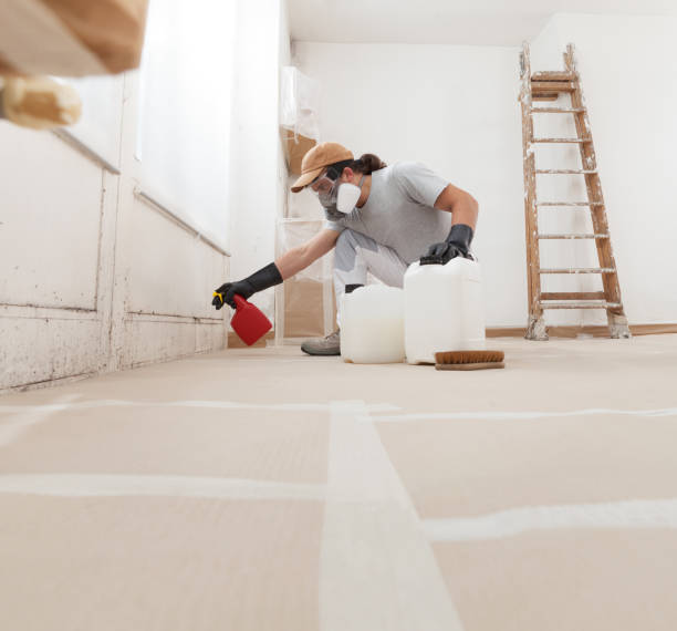 Best Basement Mold Removal  in Moultrie, GA