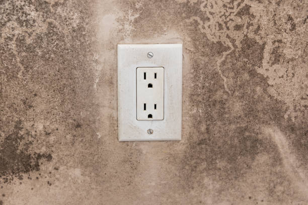 Best Water Damage & Mold Remediation  in Moultrie, GA