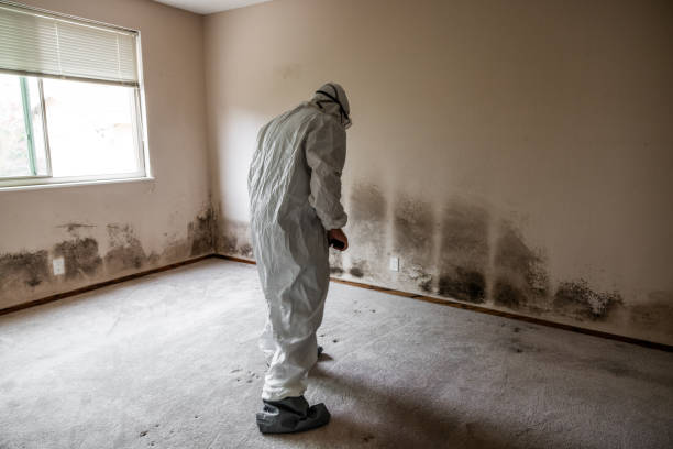 Best Biohazard Mold Removal  in Moultrie, GA