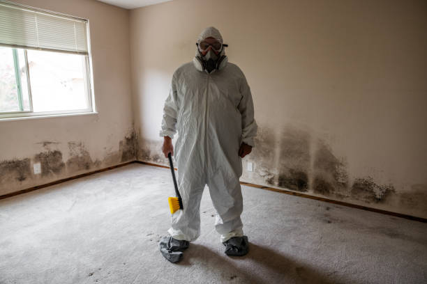 Best Mold Removal for HVAC Installations  in Moultrie, GA