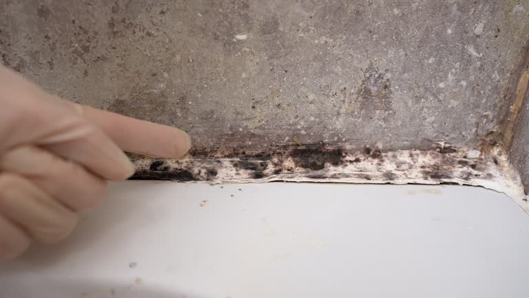 Best Forensic Mold Investigation  in Moultrie, GA